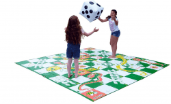 Giant snake and ladders